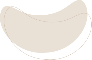 layout-slider2-03.png